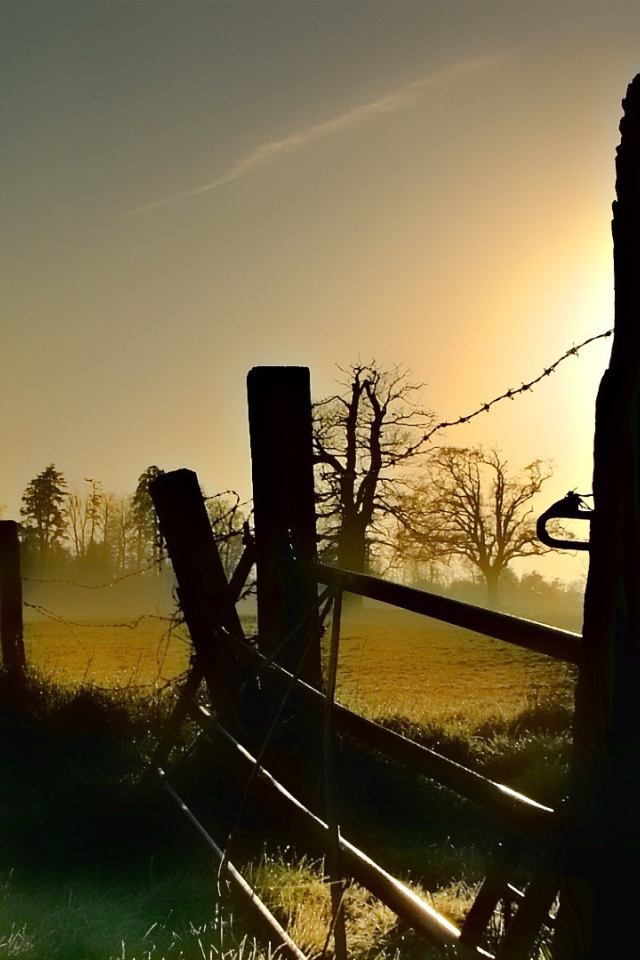Старая ограда из колючей проволоки