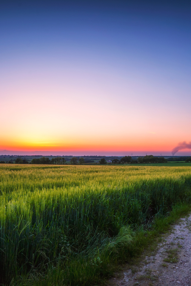Дорога по краю поля