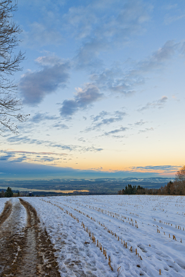 Дорога в зимнем поле