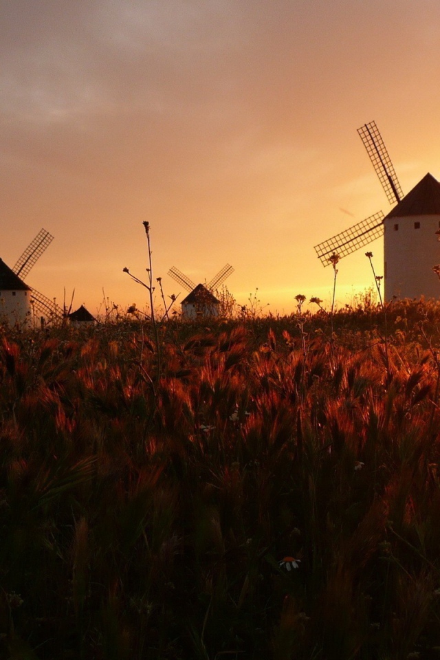 Ветряные мельницы на поле