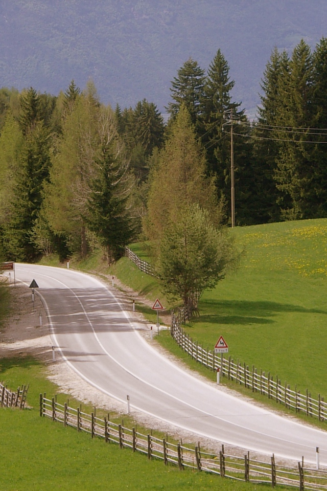 Забор вдоль дорги