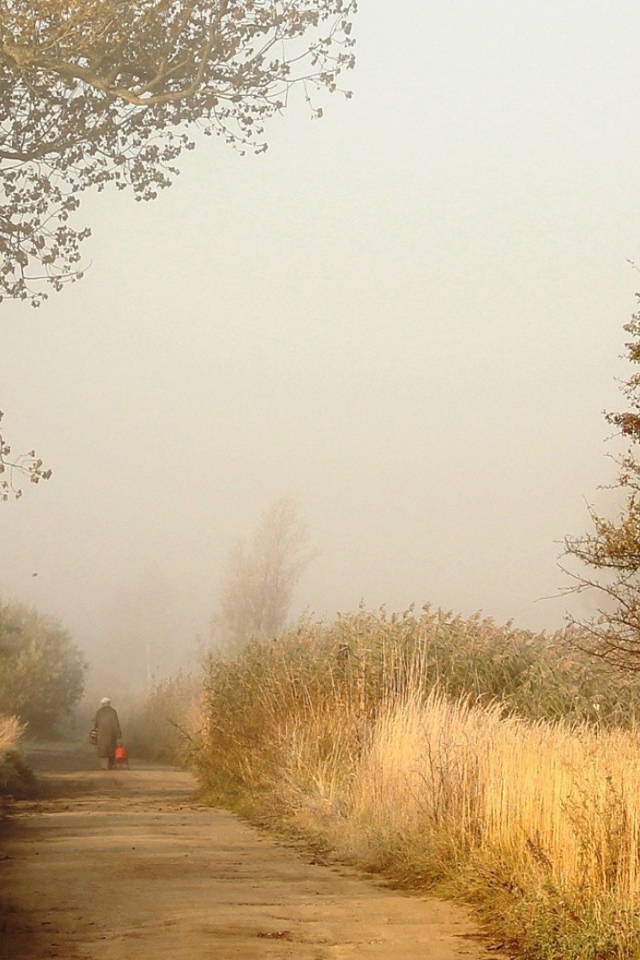 Одинокий человек на дороге