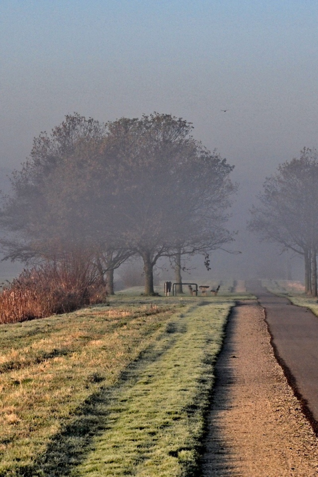 Дорога ведущая в туман