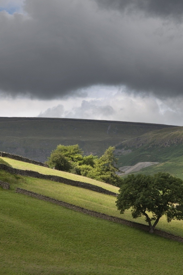 Поля огороженные заборами