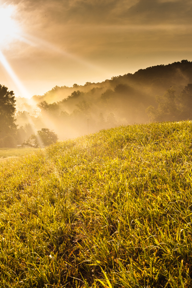 Холм в солнечных лучах
