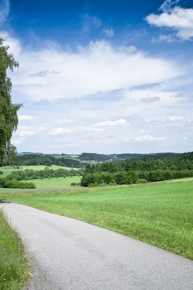 Дорога через поле