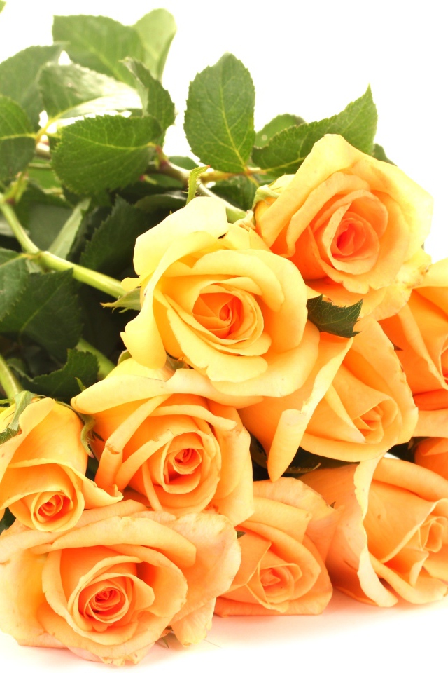 Букет оранжевых роз