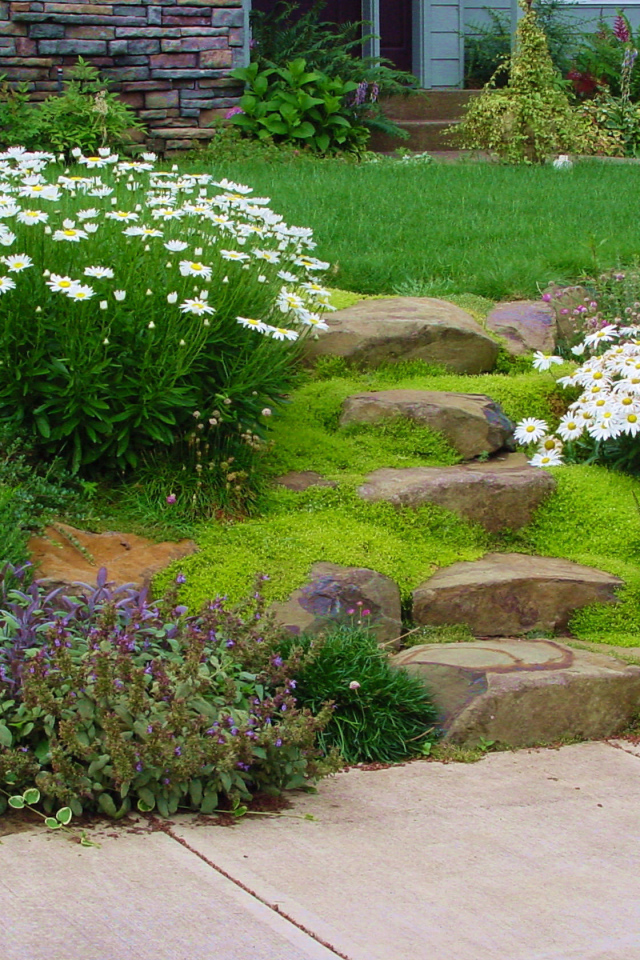 На дачном участке альпийская горка