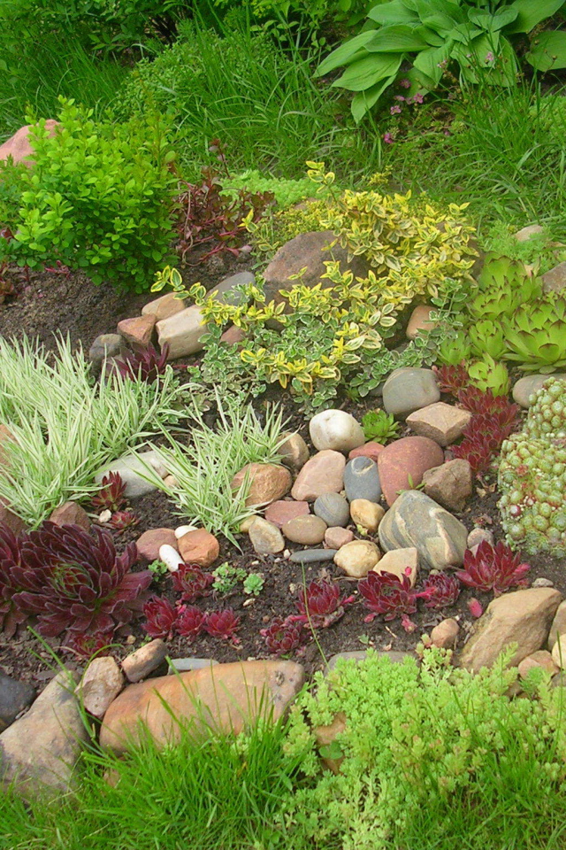 На дачном участке красивая альпийская горка