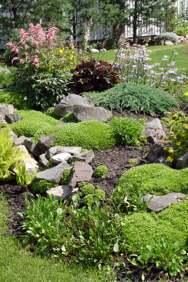 Красивая альпийская горка на дачном участке