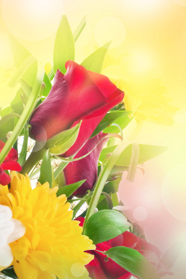 Хризантема и роза красивый букет