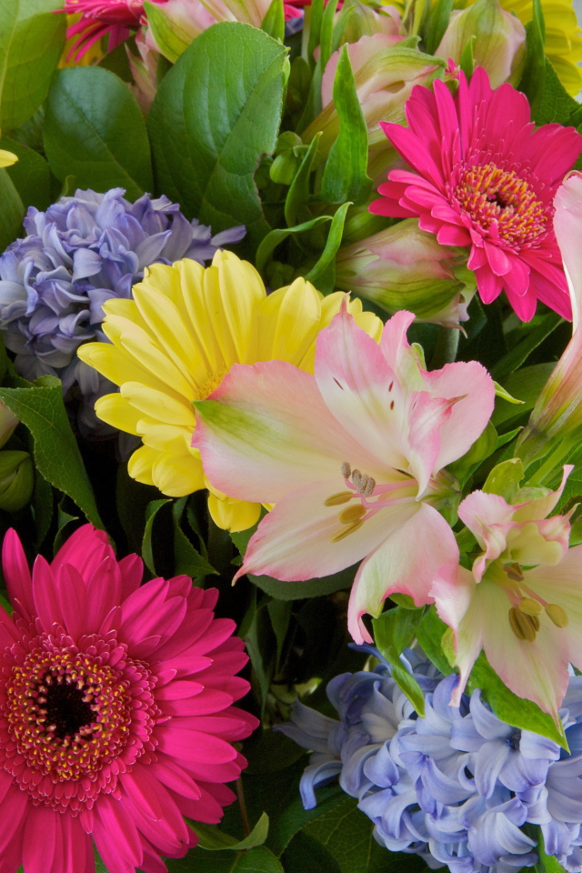 Красивый букет цветов гербера