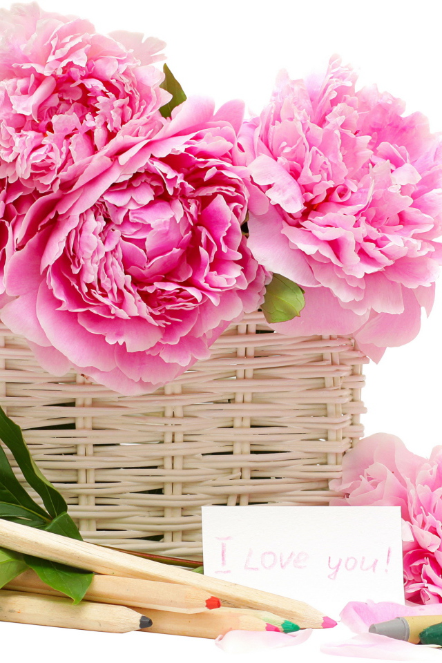 Красивый рисунок цветы пионы