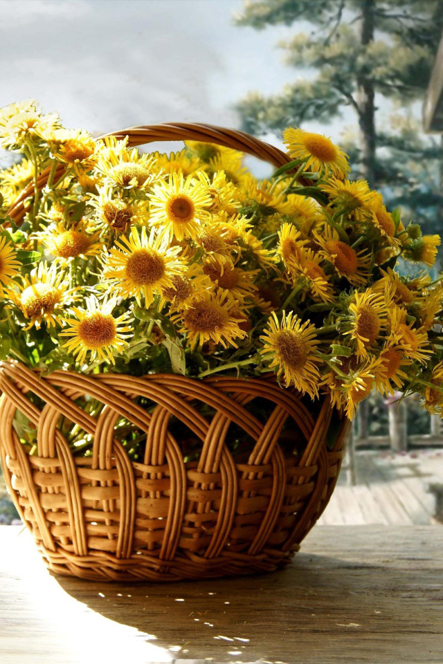 Красивые цветы хризантема в корзине