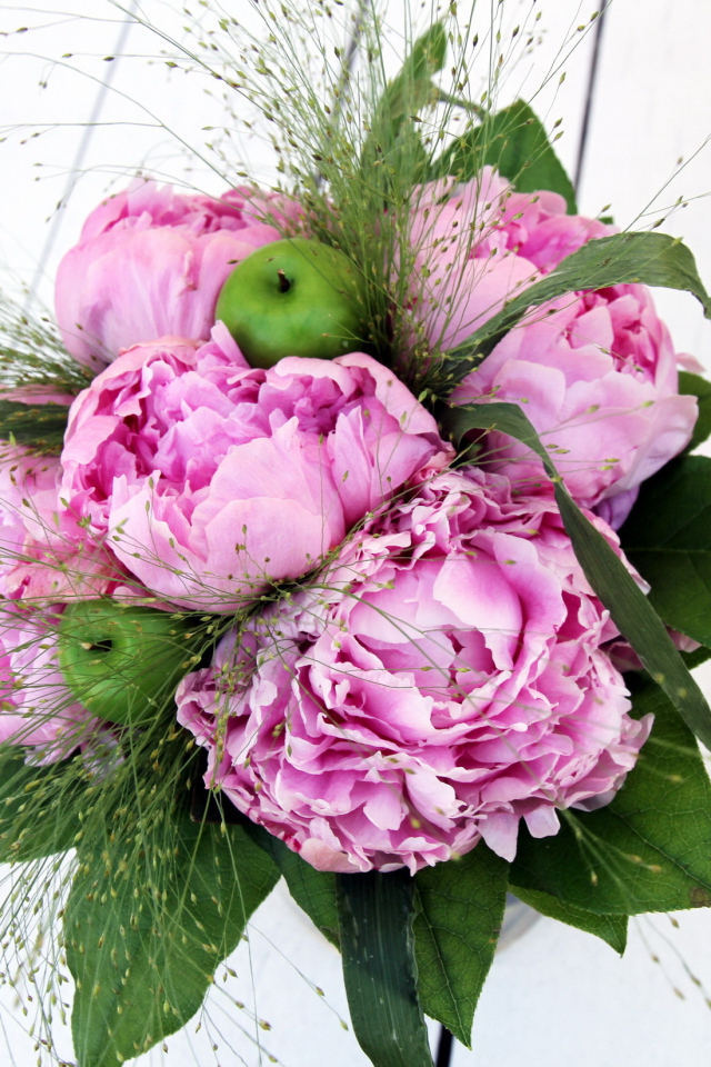 Красивые цветы пионы