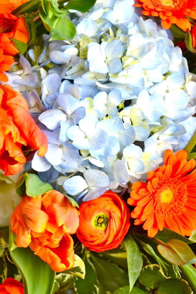 Красивые цветы гербера в парке