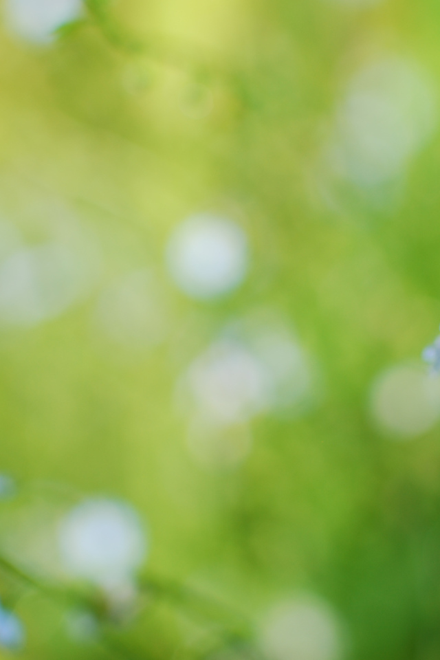 Цветы голубые анютины глазки на поляне