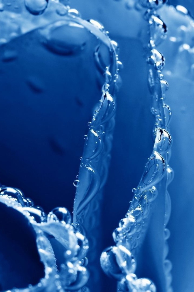 Синяя роза в пузырьках воздуха