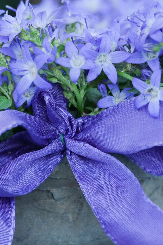 Колокольчики в горшке