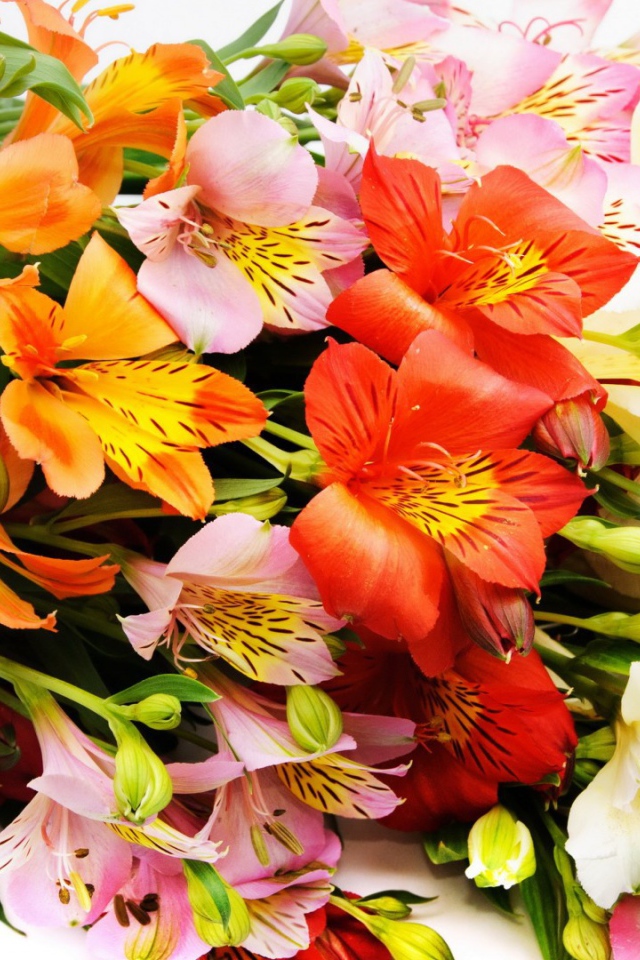 Букет декоративных цветов