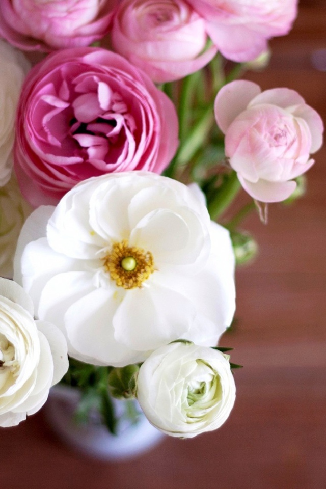 Букет из бутонов