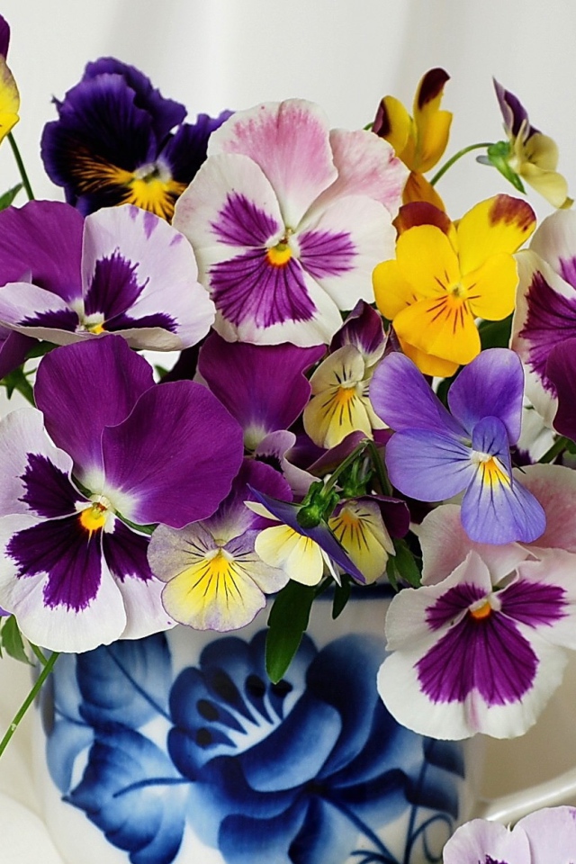 Bouquet of flowers viola (violet, pansy)