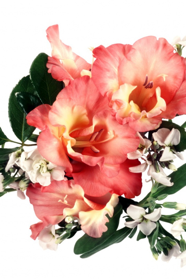 Букет оранжевых гладиолусов