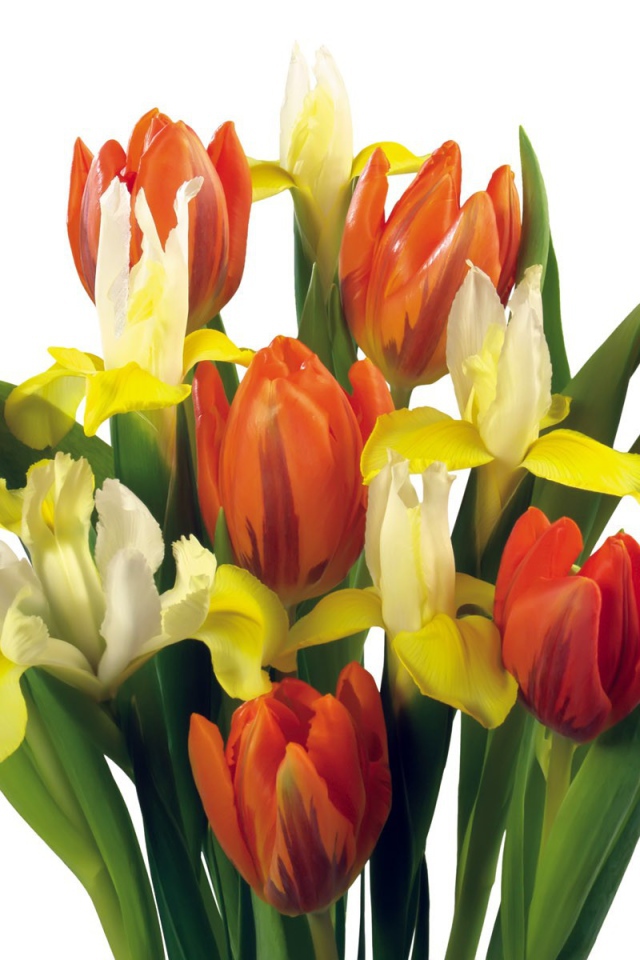 Букет тюльпанов и других цветов