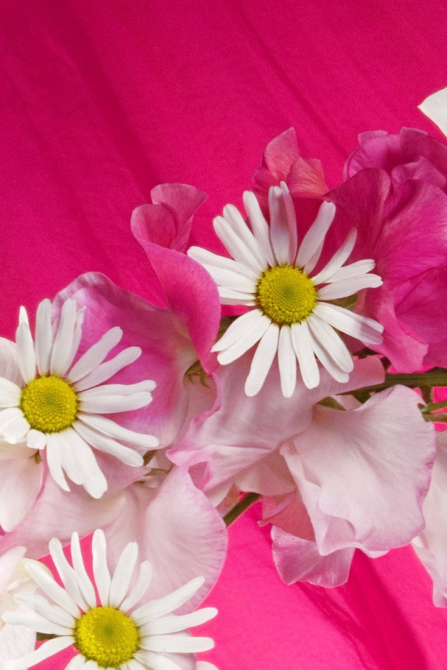 Букет на розовом фоне