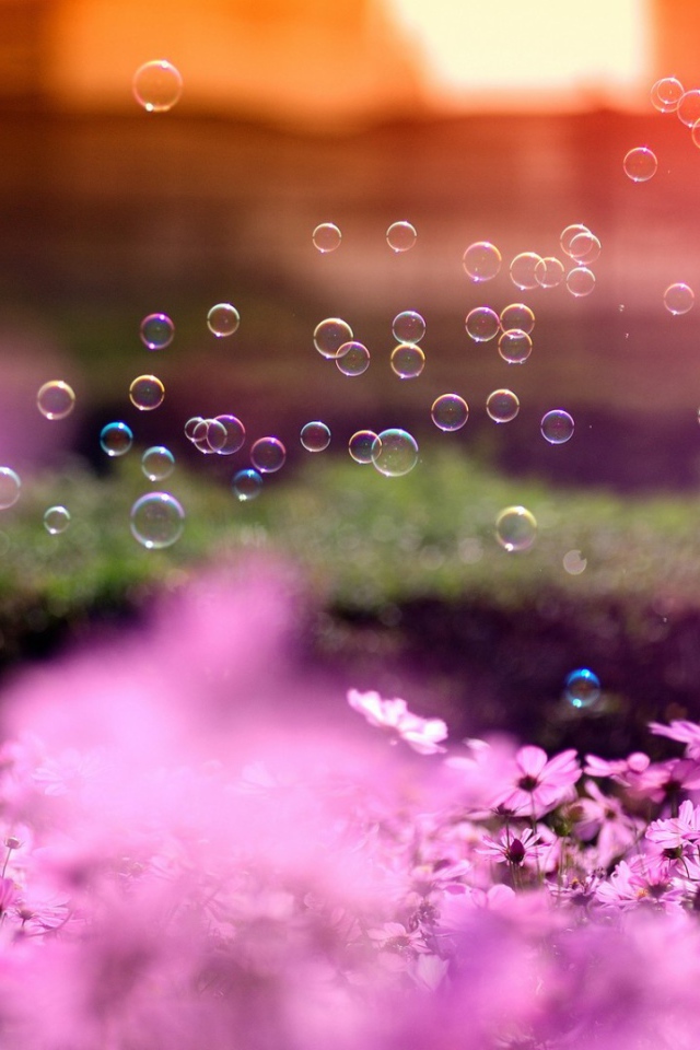 Мыльные пузыри