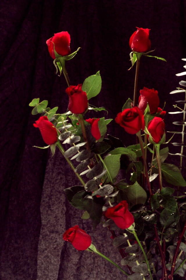 Букет красных роз