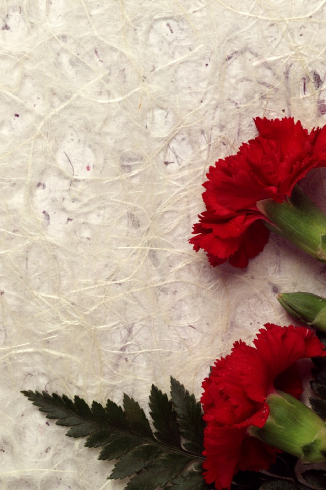 Гвоздика декор