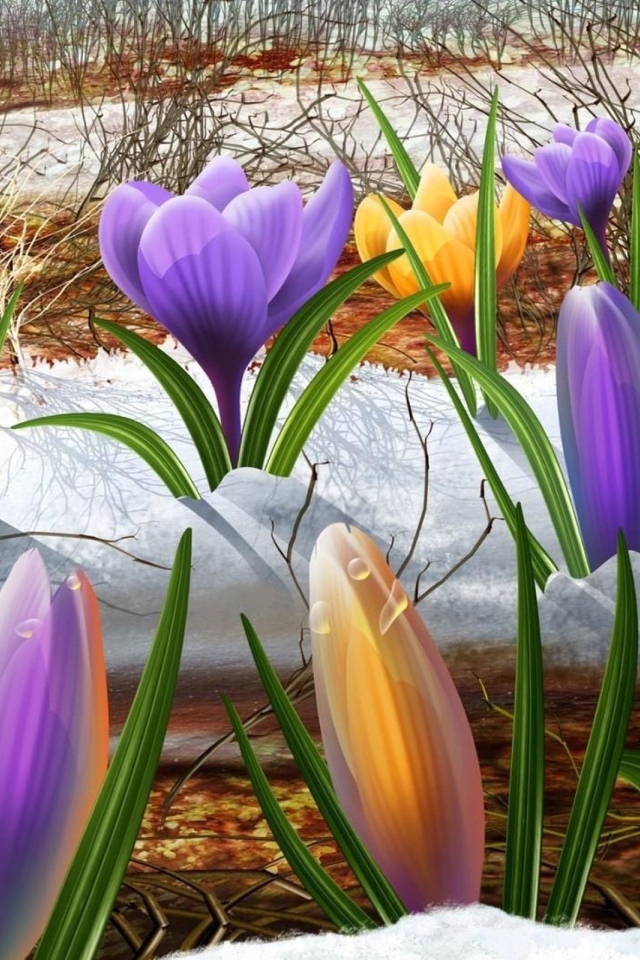 Крокусы на снегу