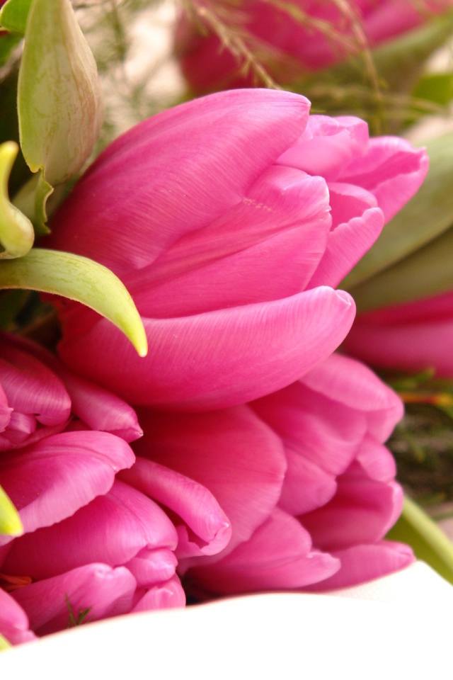 Необычные розовые цветы