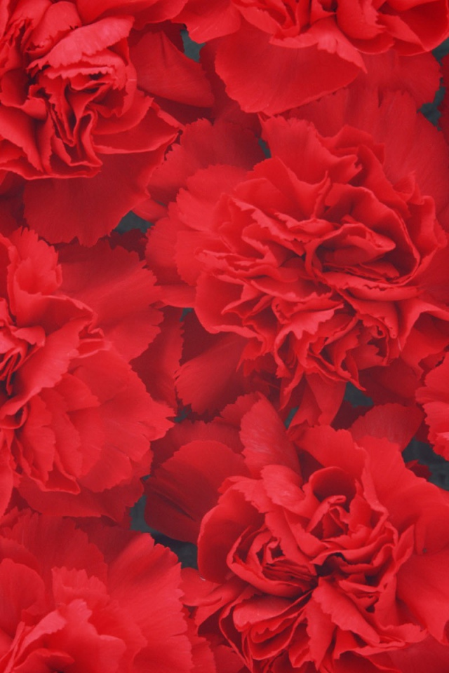 Цветочный фон