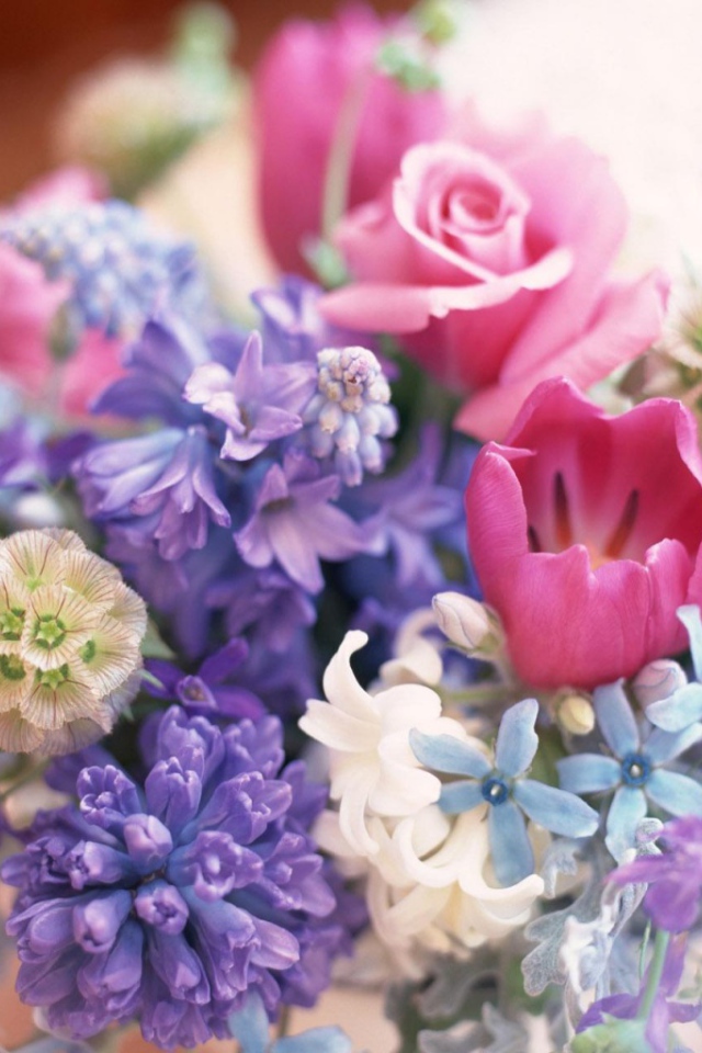 Декоративные цветы