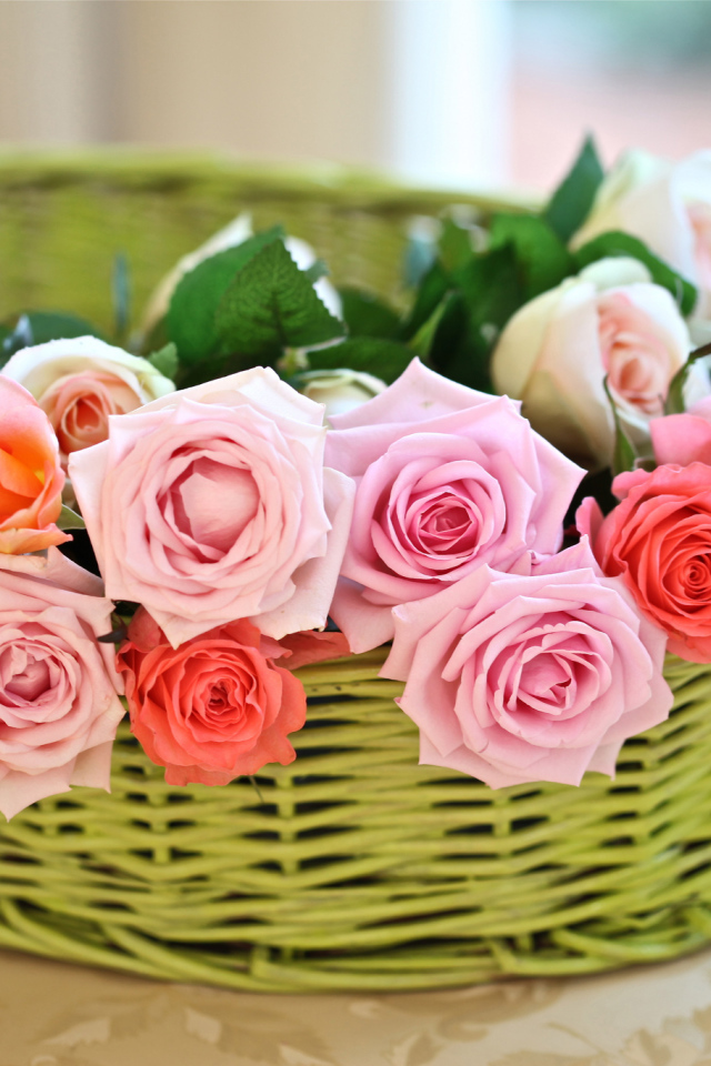 Цветы розы в корзине