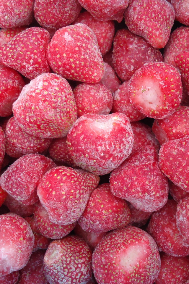 Плоды растения восковник