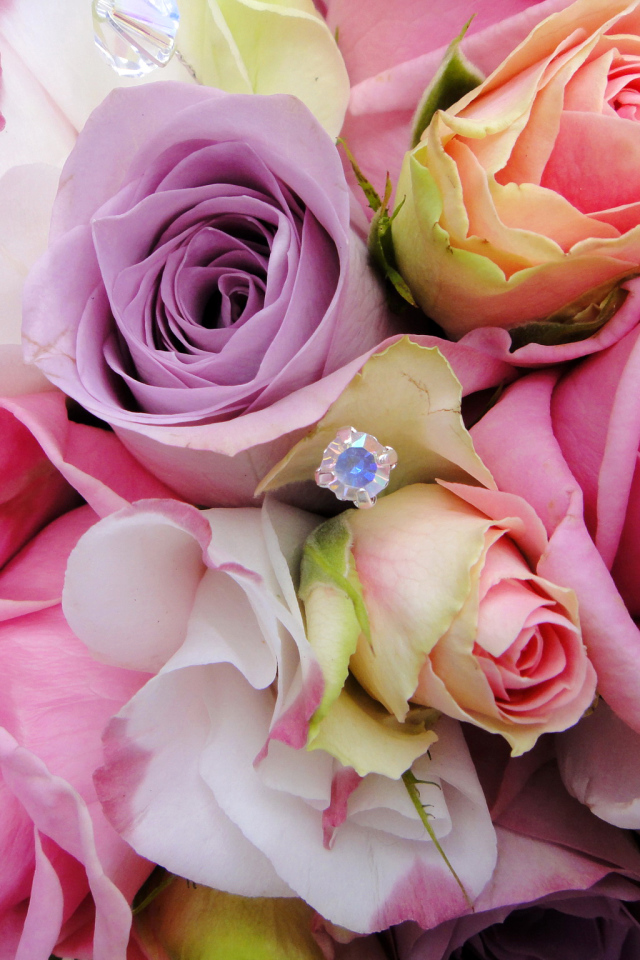 Садовые цветы эустома (ирландская роза) на дачном участке