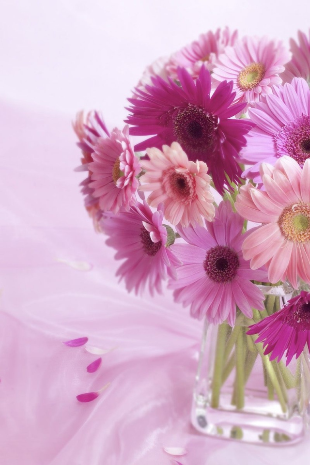 Композиция из цветов герберы 