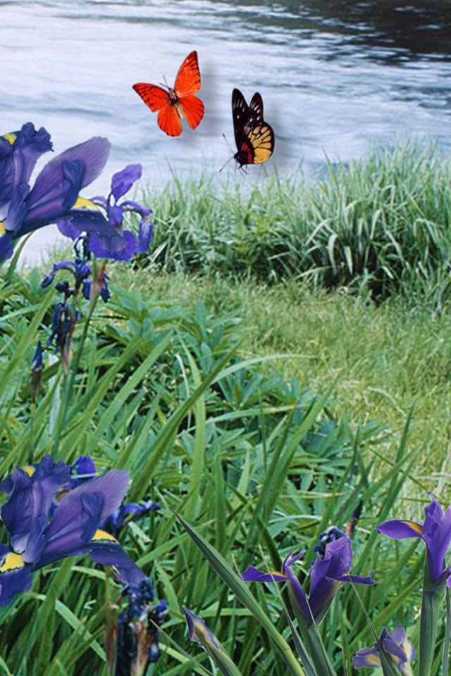 Заяц среди ирисов