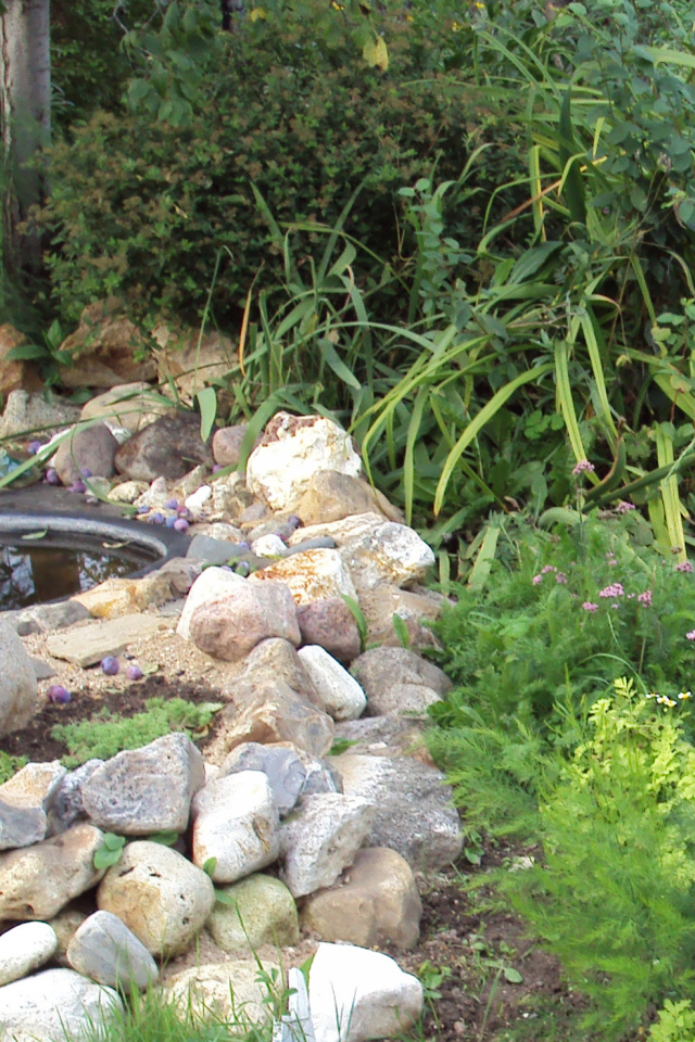 На поляне красивая альпийская горка