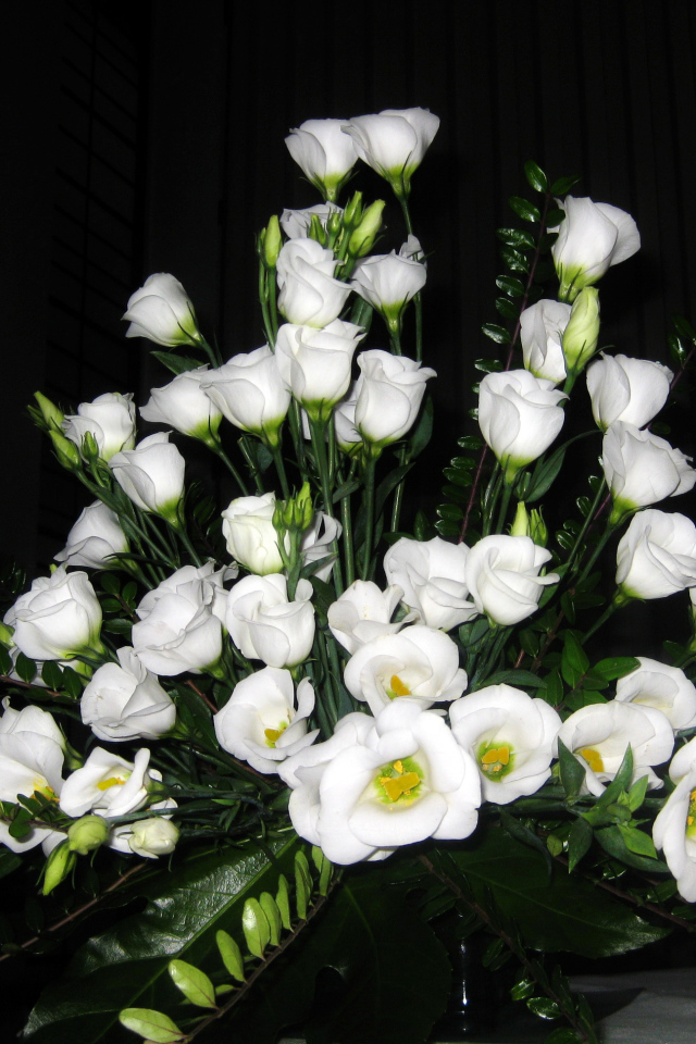 На поляне красивые цветы эустома (ирландская роза) 