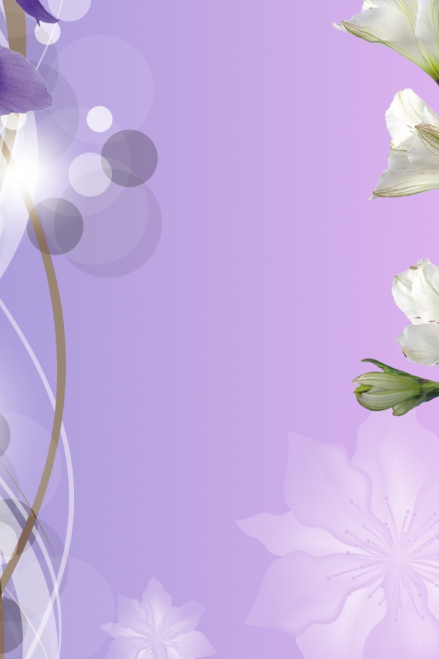 Ирисы на фоне неба