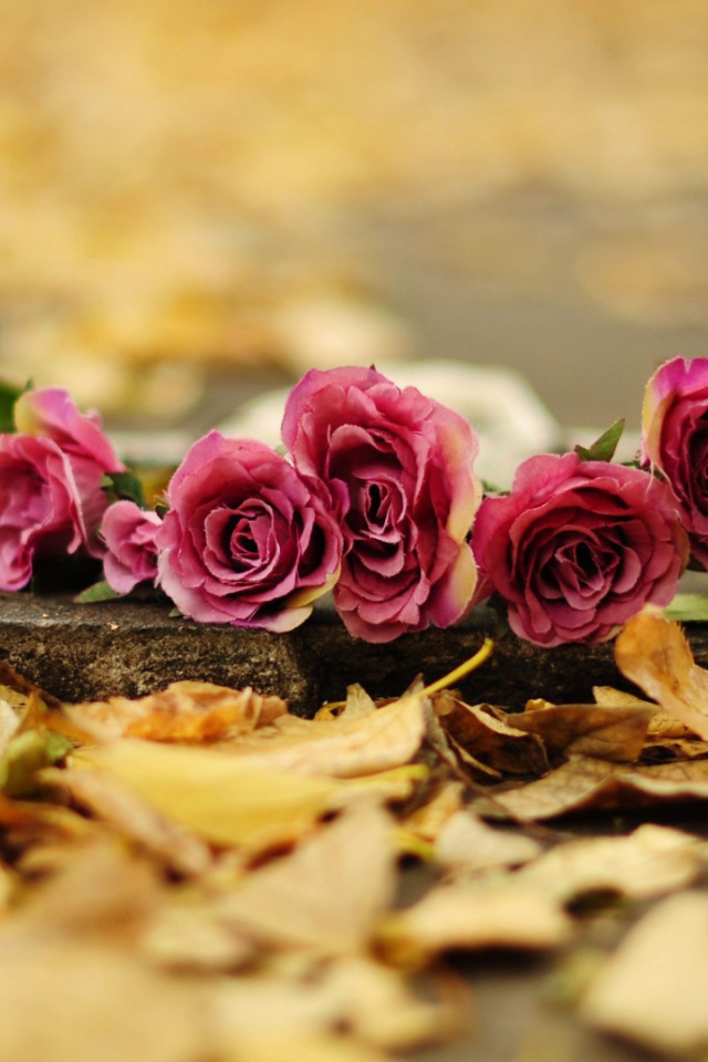 Возложеные цветы