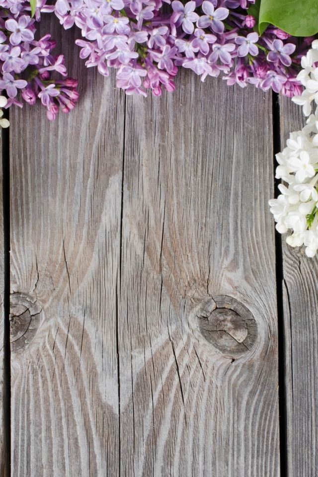 Сирень на досках