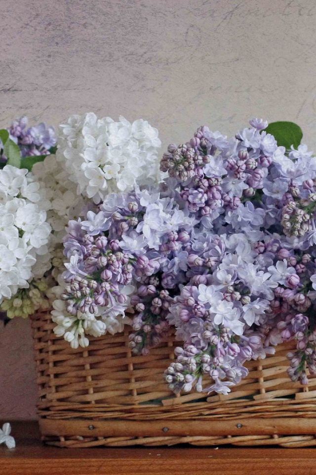 Сирень в корзине