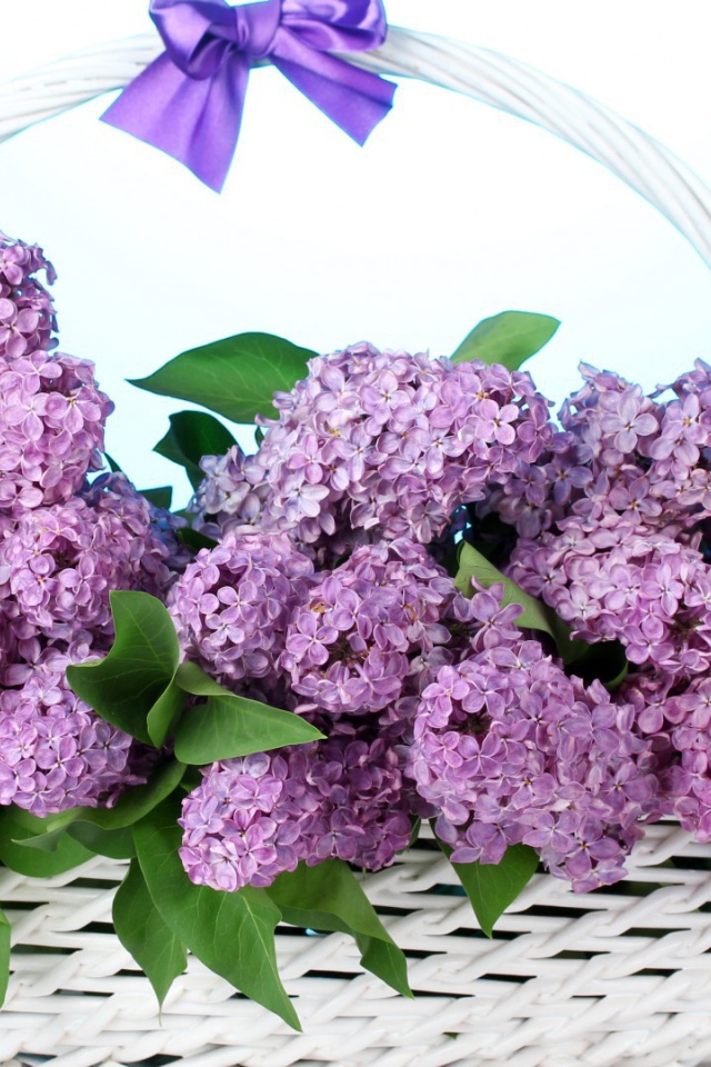 Сирень в корзине