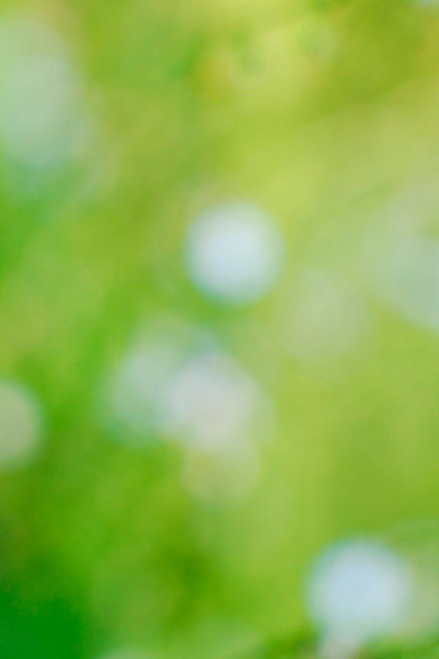 На лужайке красивые цветы незабудки