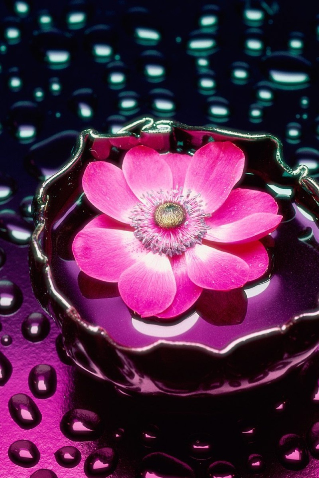 Лепестки и вода